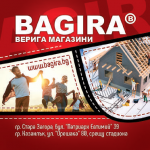 Bagira.png