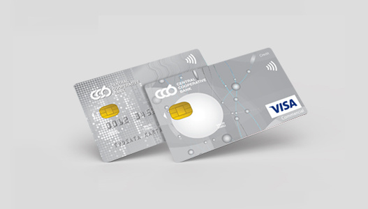 Mastercard  Business и Visa Business